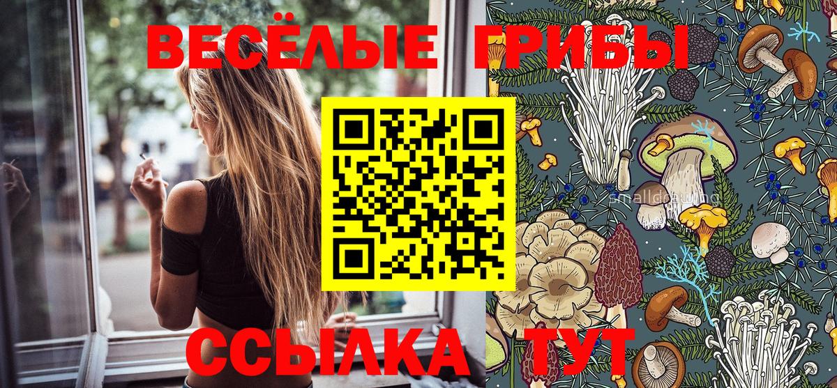Псилоцибиновые грибы Cubensis  Вход с VPN  Железногорск 