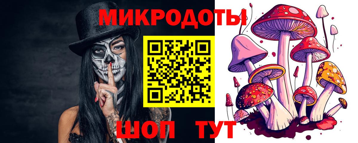 Псилоцибиновые грибы мицелий Железногорск